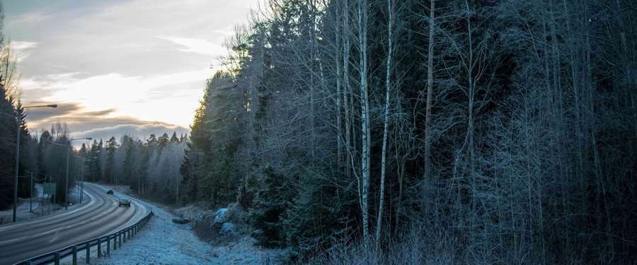 In Helsinki itself, there's not that much nature. But very closeby there is more than enough to explore!