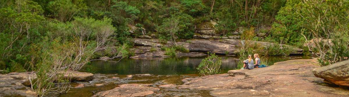 Sydney Royal National Park.